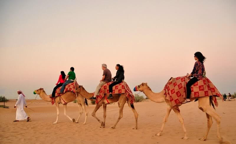 Best Desert Safari Tour Company in Dubai