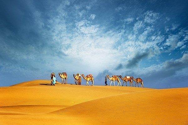 Desert Safari Beautiful Weather