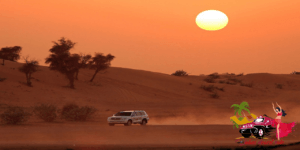 Evening Desert Safari Dubai Best Moment