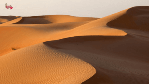 Desert Safari Dunes