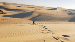 Best Moment of Abu Dhabi Desert Safari