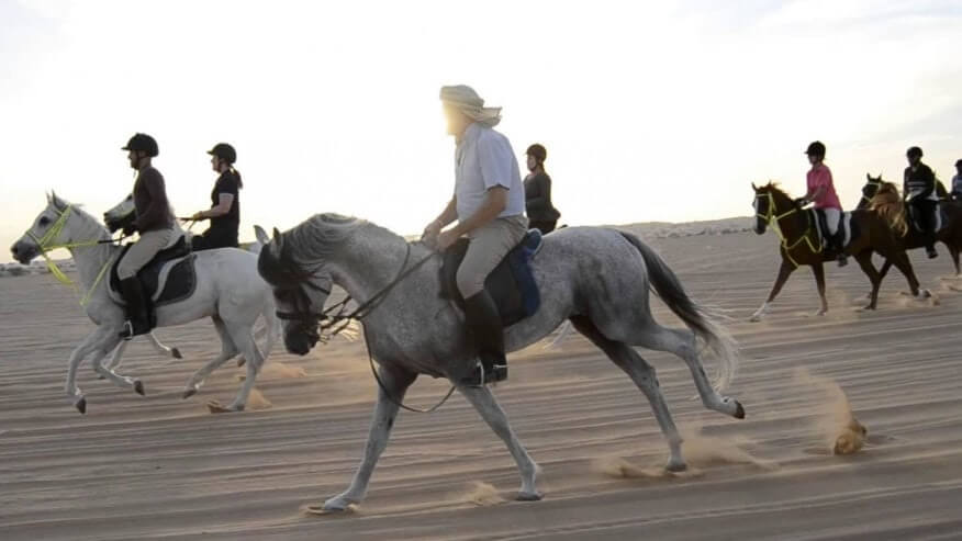 Morning Desert Safari Dubai with Hrose Riding